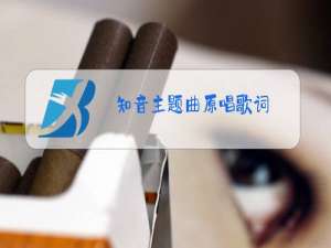 知音主题曲原唱歌词