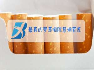 最真的梦原唱陈慧娴百度云