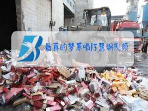 最真的梦原唱陈慧娴视频