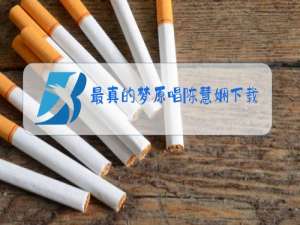 最真的梦原唱陈慧娴下载