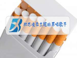 壮志凌云主题曲原唱歌手是谁