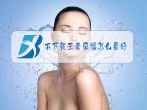 不下载王者荣耀怎么看好友在线
