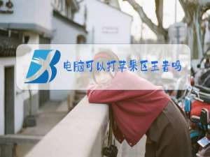电脑可以打苹果区王者吗