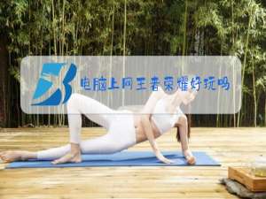 电脑上网王者荣耀好玩吗