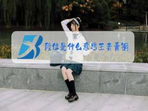 段位是什么意思王者青铜