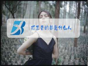 打王者的都是什么人