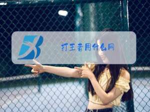 打王者用什么网