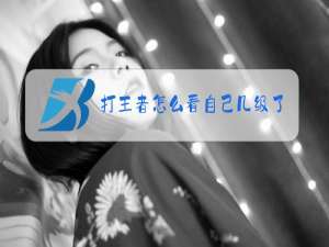 打王者怎么看自己几级了