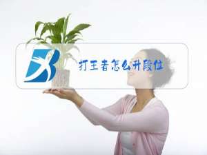 打王者怎么升段位