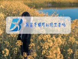 黑鲨手柄可以玩王者吗