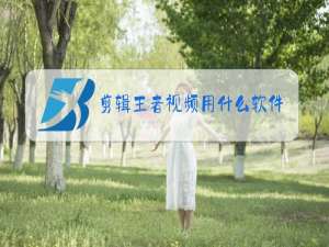 剪辑王者视频用什么软件好