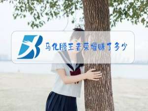 马化腾王者荣耀赚了多少钱