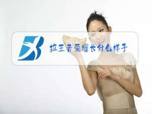 拉王者荣耀长什么样子