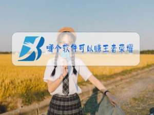 哪个软件可以赚王者荣耀皮肤