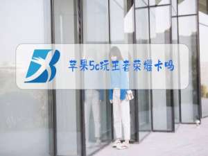 苹果5c玩王者荣耀卡吗