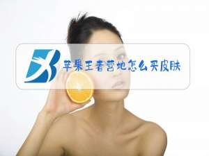 苹果王者营地怎么买皮肤