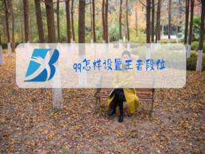 qq怎样设置王者段位