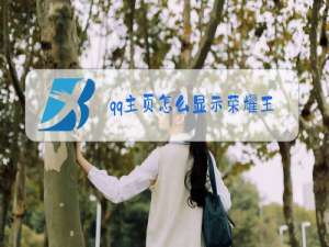 qq主页怎么显示荣耀王者