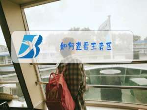 如何查看王者区