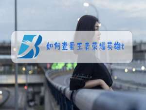 如何查看王者荣耀英雄t0