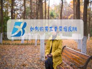 如何购买王者荣耀皮肤