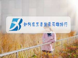 如何在王者里看英雄排行榜
