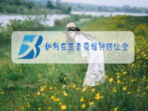 如何在王者荣耀钟转让金币
