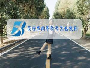 荣耀五周年称号怎么使用