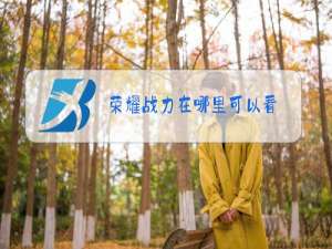 荣耀战力在哪里可以看