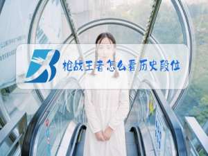 枪战王者怎么看历史段位