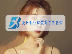 是什么让你放弃了王者荣耀