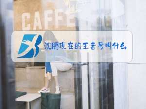 沈腾现在的王者号叫什么