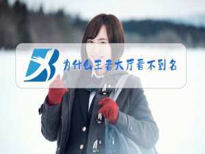 为什么王者大厅看不到名字