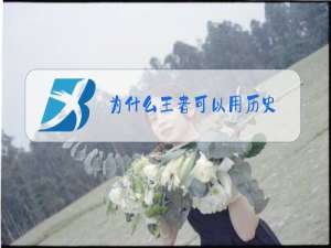 为什么王者可以用历史