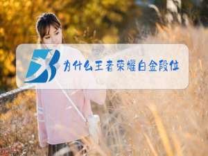 为什么王者荣耀白金段位那么难打