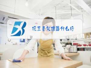 玩王者处理器什么好