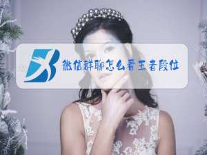 微信群聊怎么看王者段位