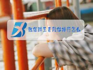 微信群王者段位排行怎么看
