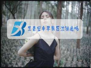 王者安卓苹果区注销通吗