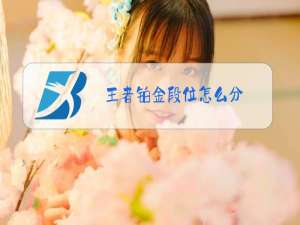 王者铂金段位怎么分