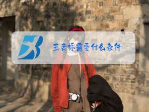 王者标需要什么条件