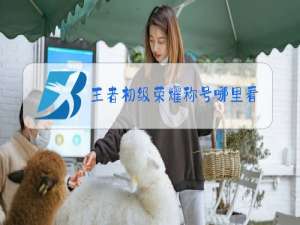 王者初级荣耀称号哪里看