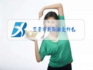 王者常用职业是什么