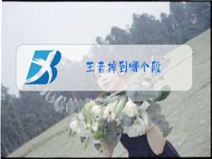 王者掉到哪个段