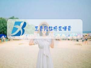 王者段位榜在哪看