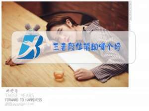 王者段位辅助哪个好