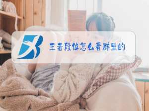 王者段位怎么看群里的