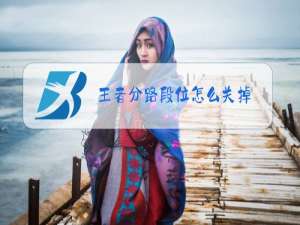 王者分路段位怎么关掉