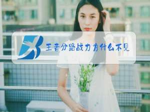 王者分路战力为什么不见