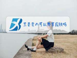 王者贵八可以共享皮肤吗